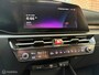 Kia Niro EV ExecutiveLine 64.8 kWh Schuif/kanteldak, lederen bekleding