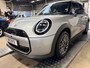 MINI Cooper C Classic Pakket L Panodak Cruise Clima Navi Cameras