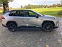 Toyota RAV4 2.5 Hybrid Bi-Tone, JBL, Panoramadak