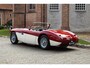 Austin Healey 100 Austin-healey 100M | Is not a factory-built 100M (including gold certificate) | Mille Miglia chosen