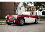 Austin Healey 100 Austin-healey 100M | Is not a factory-built 100M (including gold certificate) | Mille Miglia chosen