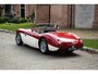 Austin Healey 100 Austin-healey 100M | Is not a factory-built 100M (including gold certificate) | Mille Miglia chosen