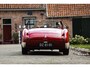 Austin Healey 100 Austin-healey 100M | Is not a factory-built 100M (including gold certificate) | Mille Miglia chosen