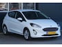 Ford Fiesta 1.0 EcoBoost Titanium, trekh. stoel + stuurverw.