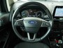Ford EcoSport 125PK EcoBoost Titanium | Clima | Navi | 100% Dealer Ond. | PDC | Car Play |