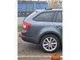 Skoda Octavia Combi 2.0 TDI Style Business DSG, trekh., stoelverw., clima, cruise
