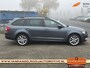Skoda Octavia Combi 2.0 TDI Style Business DSG, trekh., stoelverw., clima, cruise