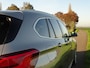 BMW X1 sDrive20i X-Line | Zwarte hemel | Pano | M-Sport stuur | Camera | Leer | Gr.NAV | Stoelverw.