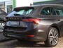 Skoda Octavia Combi 1.4 TSI 204pk iV PHEV Business Edition | Trekhaak | Achteruitrijcamera | Navigatie via smartphone | Stoelverwarming voor en achter | Cruise control |