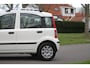 Fiat Panda 1.2 Edizione Cool / Airco / APK tot juni 2026 / Distributieriem reeds vervangen / Elektrische ramen