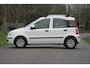 Fiat Panda 1.2 Edizione Cool / Airco / APK tot juni 2026 / Distributieriem reeds vervangen / Elektrische ramen