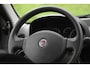 Fiat Panda 1.2 Edizione Cool / Airco / APK tot juni 2026 / Distributieriem reeds vervangen / Elektrische ramen