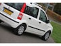 Fiat Panda 1.2 Edizione Cool / Airco / APK tot juni 2026 / Distributieriem reeds vervangen / Elektrische ramen