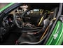 Mercedes-Benz AMG-GT 4.0 R|Green Hell Magno|Carbon|Achterasbest.