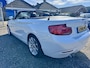 BMW 2-Serie Cabrio 220i Executive