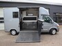Renault Master T35 2.5 dCi 146pk Automaat Paardenwagen - Roelofsen - 2 Paards - Airco