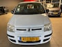 Fiat Panda 1.2 Active wij frissen de voorraad op - prijzen zijn tegen meeneemprijs Nette Panda