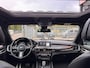 BMW X6 XDrive40d High Executive / Pano'dak / Xenon / M-Pakket
