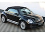 Volkswagen Beetle Cabriolet 2.5 TSI 170PK DSG Leder Cruise!!