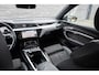 Audi E-tron E-tron 55 quattro Grey & black 95 kWh panoramadak