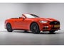 Ford Mustang Convertible 2.3 EcoBoost Org. NL [Stoelverwarming & Verkoeling, Leder