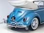 Volkswagen Kever Cabrio | 1961 | Concoursstaat | volledig gerestaureerd | Originele Karmann | Gulf Blue, een unieke, bijna nieuwe klassieker
