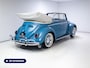 Volkswagen Kever Cabrio | 1961 | Concoursstaat | volledig gerestaureerd | Originele Karmann | Gulf Blue, een unieke, bijna nieuwe klassieker