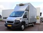 Peugeot Boxer 435 2.2 HDI L3H2 XR laadklep Thermo King bakwagen klein rijbewijs