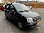 Fiat Panda 1.2 Edizione Cool