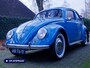 Volkswagen Kever Brilkever | 1951 | Concoursstaat | Zeldzaam vroeg exemplaar | Gulf Blue, Split window, Semaforen, een unieke tijdcapsule