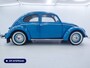 Volkswagen Kever Brilkever | 1951 | Concoursstaat | Zeldzaam vroeg exemplaar | Gulf Blue, Split window, Semaforen, een unieke tijdcapsule