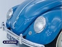 Volkswagen Kever Brilkever | 1951 | Concoursstaat | Zeldzaam vroeg exemplaar | Gulf Blue, Split window, Semaforen, een unieke tijdcapsule
