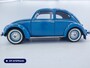 Volkswagen Kever Brilkever | 1951 | Concoursstaat | Zeldzaam vroeg exemplaar | Gulf Blue, Split window, Semaforen, een unieke tijdcapsule