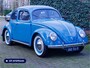 Volkswagen Kever Brilkever | 1951 | Concoursstaat | Zeldzaam vroeg exemplaar | Gulf Blue, Split window, Semaforen, een unieke tijdcapsule