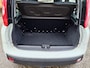 Fiat Panda 0.9 TwinAir Edizione Cool, 20.000km Automaat!