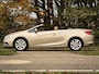 Opel Cascada 1.4 Turbo ecoFLEX Cosmo | Clima | Cruise | Navi | Stoelverw. | Stoelventilatie | Bluetooth | Leder |