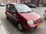 Fiat Panda 1.2 Navigator NAP/NL AUTO
