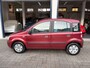Fiat Panda 1.2 Navigator NAP/NL AUTO