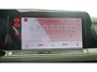 Volkswagen Golf GTI 2.0 TSI 245pk / Panoramadak / Head Up / Travel Assist
