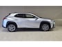 Lexus UX 250h F-Sport-Design Navi Camera Winterpakket Géén Afleverkosten