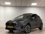 Ford Fiesta 1.0 EcoBoost 100 pk Titanium 5-deurs Panoramadak-Winter Pack-Parking Pack-stoelhoogte verstelling passagier