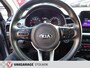 Kia Stonic 1.0 T-GDi MHEV Dynamic Plus Line, Trekhaak, AUR Camera, Luxe uitvoering.