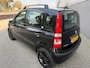 Fiat Panda 1.2 Young*NEW APK 2026*AIRCO*ELKT-RAAM*ZUINGE AUTO