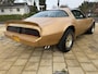 Pontiac Trans-Am Firebird 6.6 T