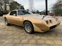 Pontiac Trans-Am Firebird 6.6 T