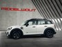 MINI Countryman Mini 2.0 Cooper S E ALL4/Pano/Head-Up/Leder/El.Stoelen/Carplay