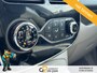 Renault Zoe Q210 Zen Quickcharge 22 kWh CLIMA/INCL.ACCU/NAVI/CAMERA/LICHTMETAAL rijklaarprijs!