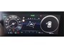 Kia Niro EV DynamicPlusLine 64.8 kWh Panoramadak / Leer / Camera / Navigatie
