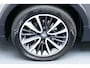 Opel Crossland X 1.2 110Pk Turbo Innovation. Camera, Haak, Clima, Cruise, Navi, Stoel&StuurVerw, 17"LMV,