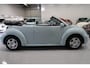 Volkswagen Beetle New Cabriolet 1.4i-16v Highline Leer Stoelverwarming Elektrische Kap Sportvelgen Windschot Zeer nette staat Youngtimer 4xElektrische ramen